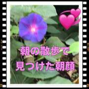 ヒメ日記 2025/09/30 08:10 投稿 山本 人妻風俗チャンネル