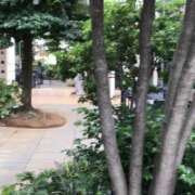 ヒメ日記 2025/10/02 11:49 投稿 山本 人妻風俗チャンネル