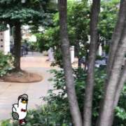 ヒメ日記 2025/10/02 13:30 投稿 山本 人妻風俗チャンネル