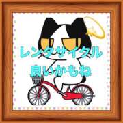 ヒメ日記 2025/10/04 08:15 投稿 山本 人妻風俗チャンネル