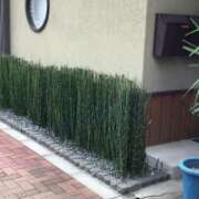 ヒメ日記 2025/10/06 13:30 投稿 山本 人妻風俗チャンネル