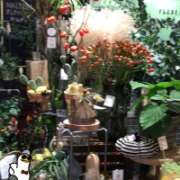 ヒメ日記 2025/10/08 14:30 投稿 山本 人妻風俗チャンネル