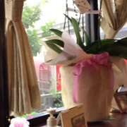 ヒメ日記 2025/10/20 09:15 投稿 山本 人妻風俗チャンネル