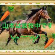 ヒメ日記 2025/10/26 12:56 投稿 山本 人妻風俗チャンネル