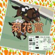 ヒメ日記 2025/10/26 16:40 投稿 山本 人妻風俗チャンネル