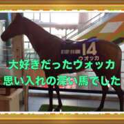 ヒメ日記 2025/11/02 14:17 投稿 山本 人妻風俗チャンネル