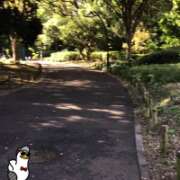 ヒメ日記 2025/11/04 12:39 投稿 山本 人妻風俗チャンネル