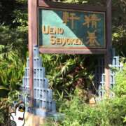 ヒメ日記 2025/11/04 14:00 投稿 山本 人妻風俗チャンネル