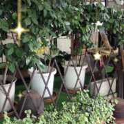 ヒメ日記 2025/11/12 08:16 投稿 山本 人妻風俗チャンネル