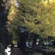 ヒメ日記 2025/11/19 09:37 投稿 山本 人妻風俗チャンネル