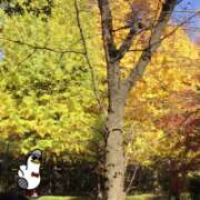 山本 紅葉🍁が美しいね 人妻風俗チャンネル