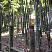 ヒメ日記 2026/03/30 11:05 投稿 山本 人妻風俗チャンネル