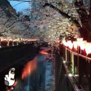 ヒメ日記 2026/04/01 09:06 投稿 山本 人妻風俗チャンネル