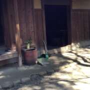 ヒメ日記 2026/03/31 09:24 投稿 山本 人妻風俗チャンネル