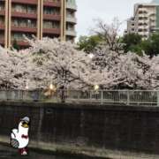 ヒメ日記 2026/04/06 08:23 投稿 山本 人妻風俗チャンネル