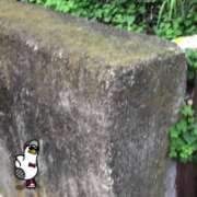 山本 もう初夏なのかな(￣▽￣;) 人妻風俗チャンネル