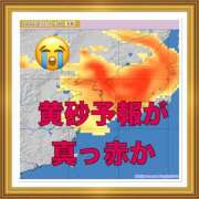 山本 黄砂来たーーーー‼️ 人妻風俗チャンネル