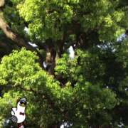 ヒメ日記 2026/04/26 17:21 投稿 山本 人妻風俗チャンネル