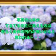 ヒメ日記 2026/05/12 08:40 投稿 山本 人妻風俗チャンネル