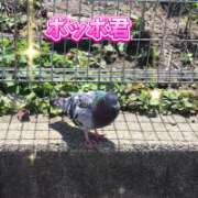 ヒメ日記 2026/05/12 13:22 投稿 山本 人妻風俗チャンネル
