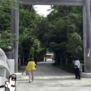 ヒメ日記 2026/06/12 09:22 投稿 山本 人妻風俗チャンネル