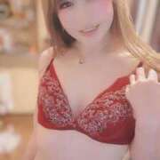 ヒメ日記 2024/12/29 06:37 投稿 うたこ 新宿サンキュー