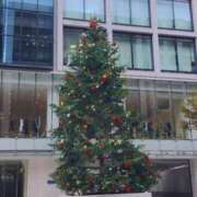 ヒメ日記 2025/11/18 15:42 投稿 うたこ 新宿サンキュー