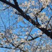 ヒメ日記 2026/03/24 12:52 投稿 うたこ 新宿サンキュー