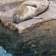 ヒメ日記 2024/12/30 08:40 投稿 とうこ 新宿サンキュー