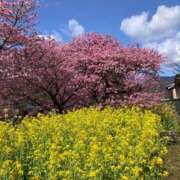 ヒメ日記 2025/03/09 08:50 投稿 とうこ 新宿サンキュー