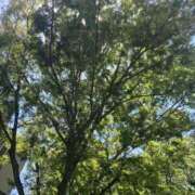 ヒメ日記 2025/07/04 08:40 投稿 とうこ 新宿サンキュー