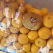 ヒメ日記 2025/07/19 08:20 投稿 とうこ 新宿サンキュー