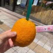 ヒメ日記 2025/08/23 08:25 投稿 とうこ 新宿サンキュー