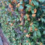 とうこ おはようございます。 新宿サンキュー