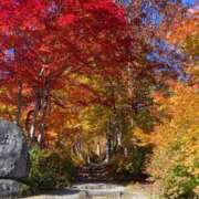 とうこ おはようございます。 新宿サンキュー