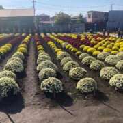 とうこ おはようございます。 新宿サンキュー