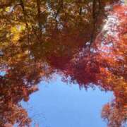 ヒメ日記 2025/12/07 09:12 投稿 とうこ 新宿サンキュー