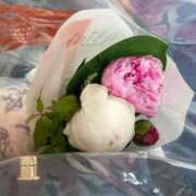 ヒメ日記 2025/12/28 10:02 投稿 とうこ 新宿サンキュー