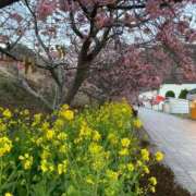 とうこ 1年1度の39日です。 新宿サンキュー