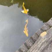 ヒメ日記 2026/05/31 11:31 投稿 とうこ 新宿サンキュー