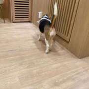 ヒメ日記 2026/09/13 10:02 投稿 とうこ 新宿サンキュー