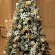 ヒメ日記 2024/12/05 19:55 投稿 君島 華恋人(カレント)