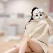 ヒメ日記 2025/03/12 14:01 投稿 カヤ ラブコレクション