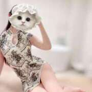 ヒメ日記 2025/04/08 20:16 投稿 カヤ ラブコレクション