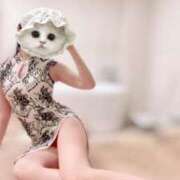 ヒメ日記 2025/05/11 17:16 投稿 カヤ ラブコレクション