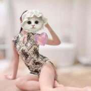 ヒメ日記 2025/05/26 10:46 投稿 カヤ ラブコレクション