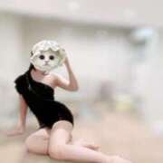 ヒメ日記 2025/09/07 12:16 投稿 カヤ ラブコレクション