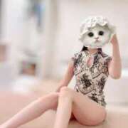 ヒメ日記 2025/11/10 14:31 投稿 カヤ ラブコレクション