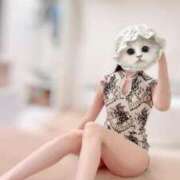 ヒメ日記 2025/11/20 11:31 投稿 カヤ ラブコレクション