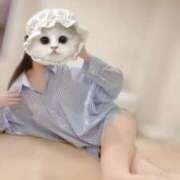 ヒメ日記 2026/02/23 12:01 投稿 カヤ ラブコレクション